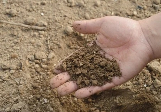 土壤检测及检测项目