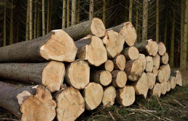 木材检测标准介绍