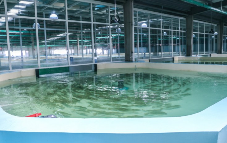 养殖水检测机构-养殖水检测中心