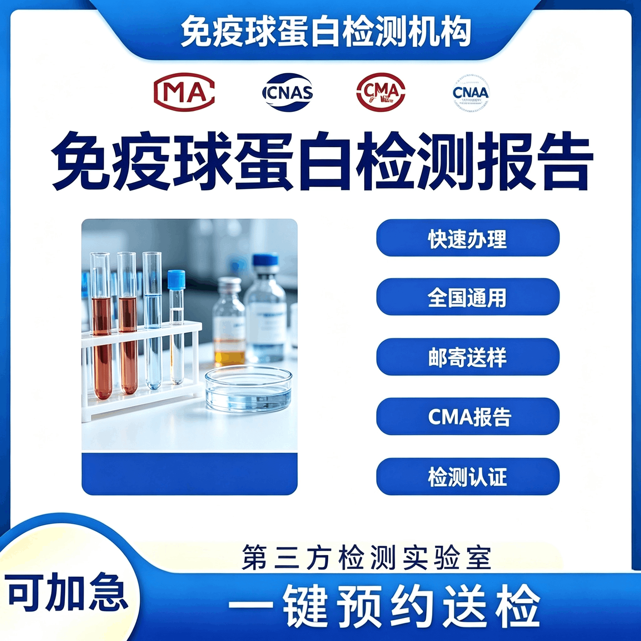 免疫球蛋白检测机构 免疫球蛋白分子量检测