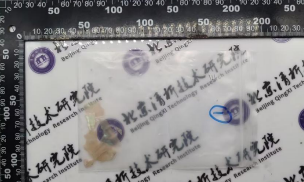 北京某黄金珠宝公司螺钿原材料成分分析