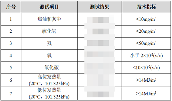 江西某煤气厂人工煤气全项检测