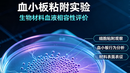 血小板粘附实验助力某高校医用钛涂层材料血液相容性评价