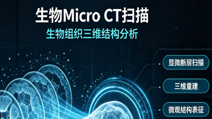 生物Micro CT扫描助力吉林高校骨缺损药物效果评估