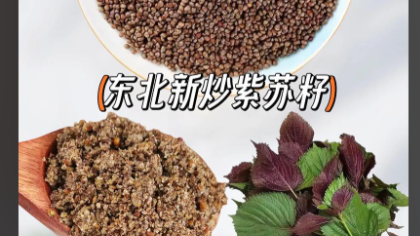 火麻紫苏深加工产物成分检测助力高校科研验证工艺有效性