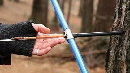 古茶树树龄检测助力某四川合作社保护古树资源
