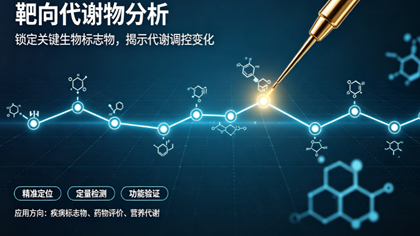 靶向代谢物检测助力某科研机构马铃薯粉品质分析