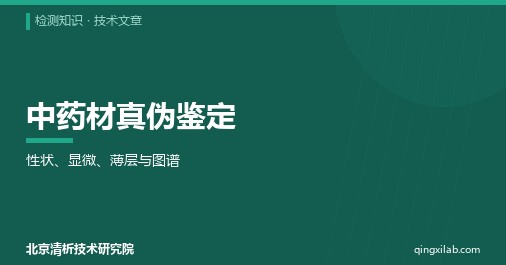 中药材真伪鉴定:性状、显微、薄层与图谱