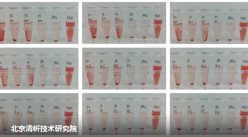 BN 材料体外溶血率评价