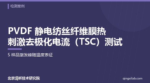 PVDF 静电纺丝纤维膜热刺激去极化电流(TSC)测试