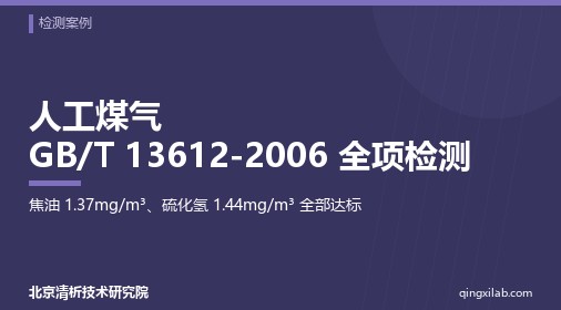 人工煤气 GB/T 13612-2006 全项检测