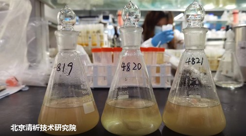 化毛猫粮胃蛋白酶消化率测评