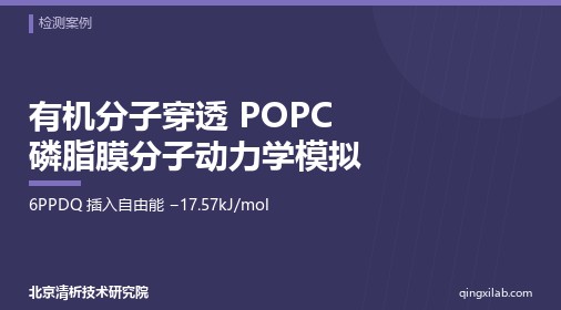 有机分子穿透 POPC 磷脂膜分子动力学模拟